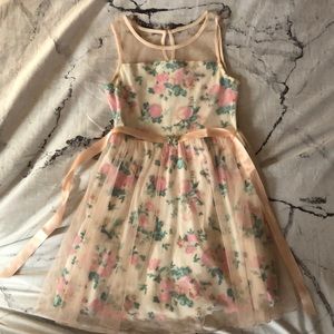 Rose Cinderella Dress